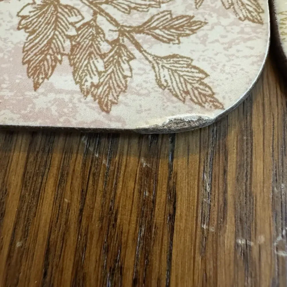 Vintage Roses‎ Placemats Set of 4 Cork Backing Hard Butterfly Floral Victorian